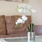 Apartament Home2book Tranquil Escape Community Pool *
