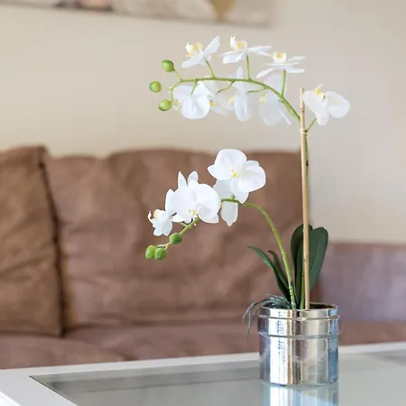 아파트 Home2book Tranquil Escape Community Pool *
